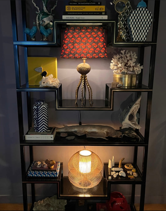 Vintage Pierre Vandel Library